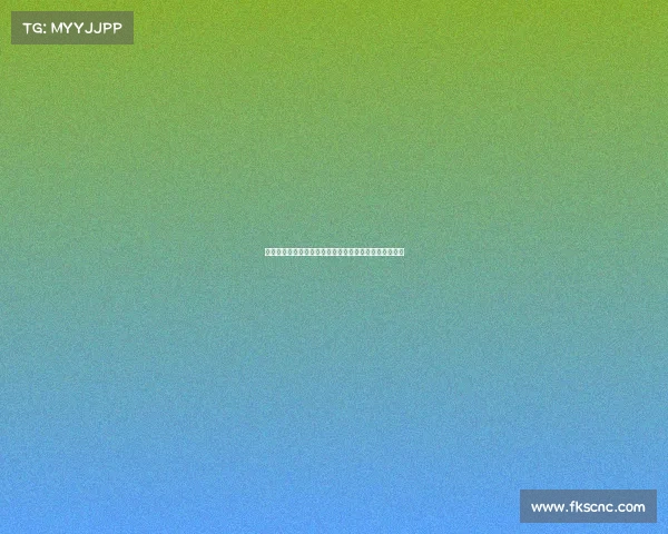 提华纳赛事—墨西哥北境燃情竞速，巅峰对决聚焦提华纳